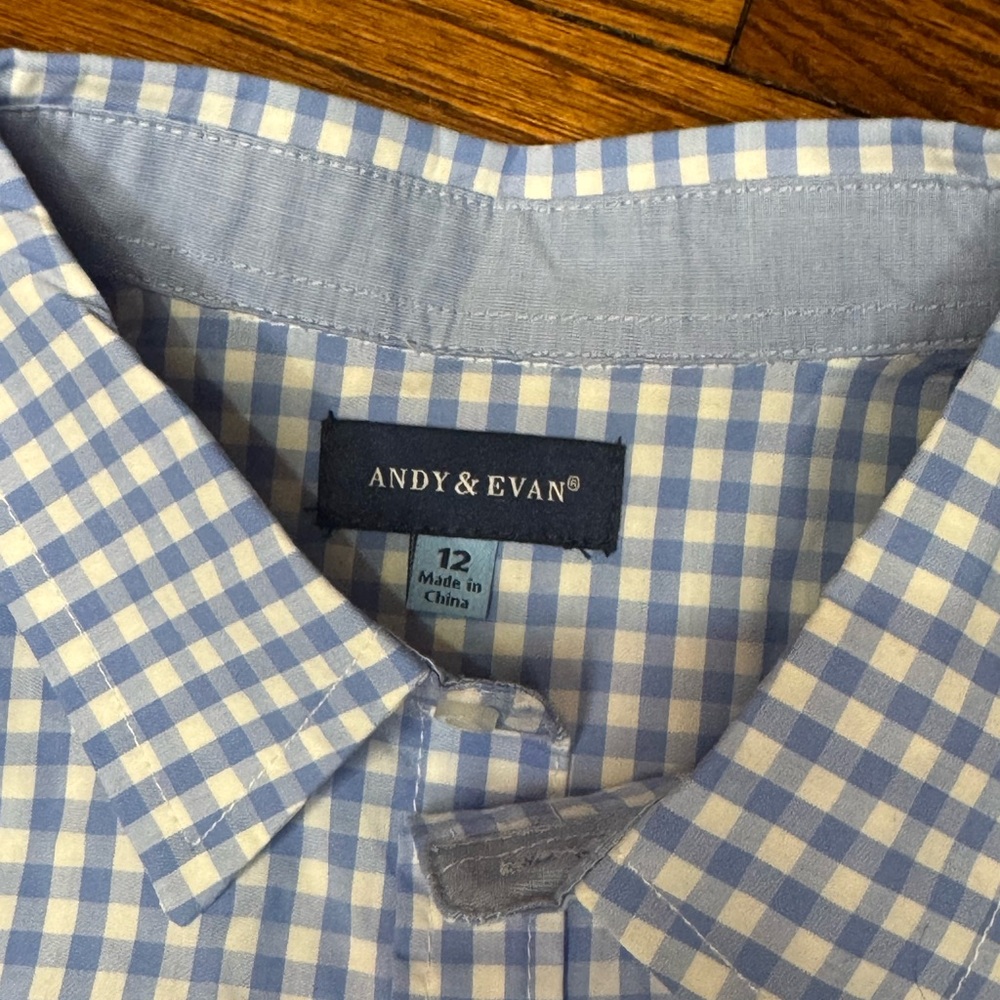 Andy & Evan Boys Shirt Collared Button Down Blue Check Size 12 - Picture 3 of 6